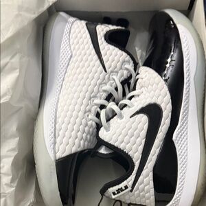 LeBron witness iii prm